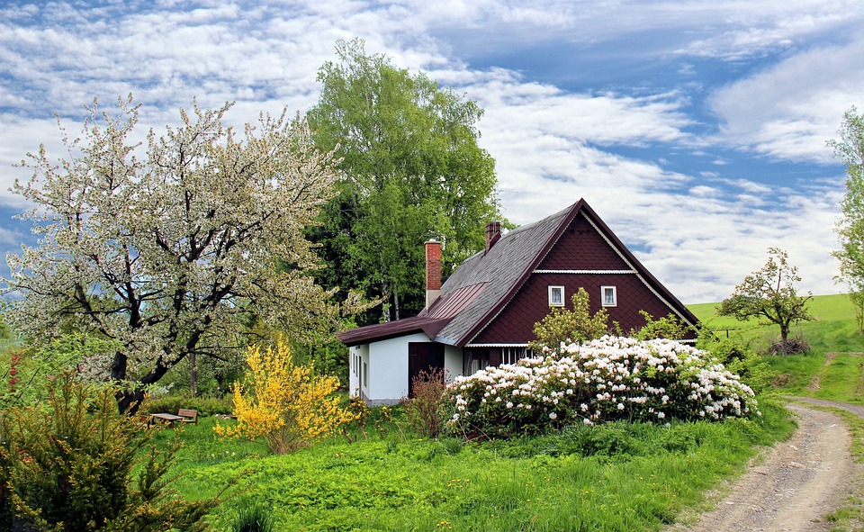 Steiner Ranch: Where Nature Meets Luxury Living